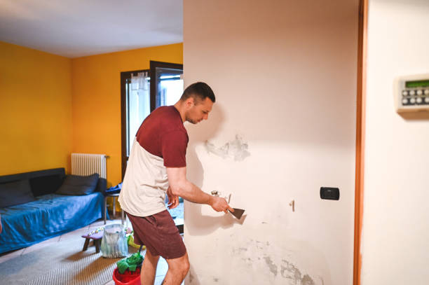 Best Post-Flood Mold Remediation in Algood, TN